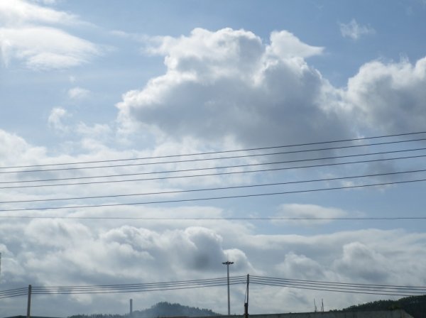 IMGP0187.jpg
