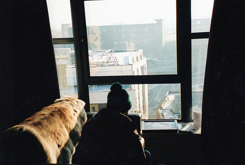 112697172661547d3bl.jpg