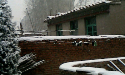 IMG0728A.jpg