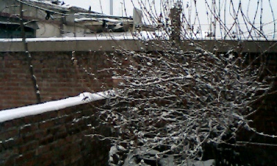 IMG0725A.jpg