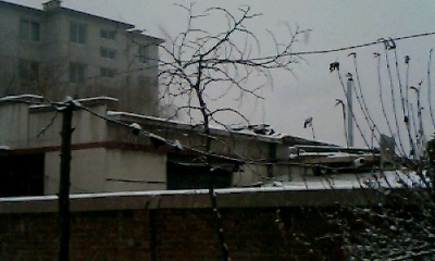 IMG0723A.jpg