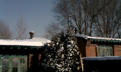 IMG0739A.jpg
