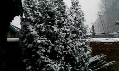 IMG0726A.jpg