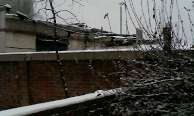 IMG0732A.jpg
