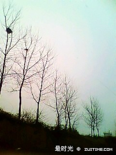 IMG0400A_conew1.jpg