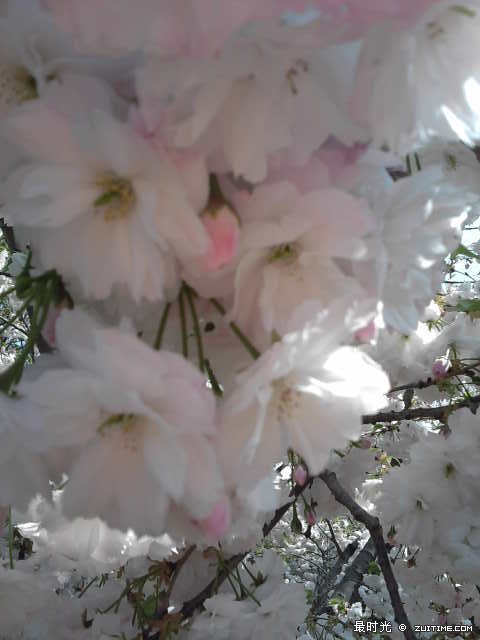 P07-05-11_15.08.jpg