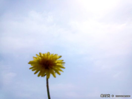 20120328014.jpg