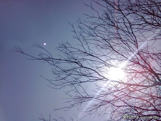 20120125464.jpg