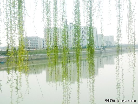 20120327125.jpg