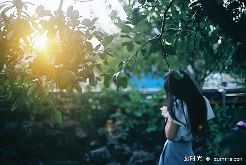 1128079386df1cae21l.jpg