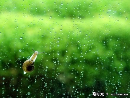 每一个你讨厌的现在，都有一个不够努力的曾经。.jpg