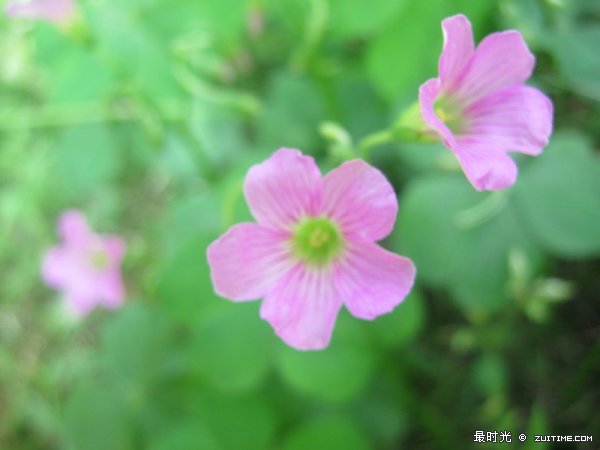 IMG_0223_副本.jpg