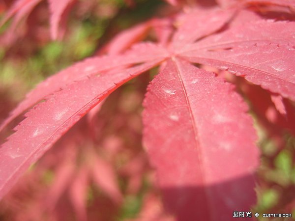 IMG_0238_副本.jpg