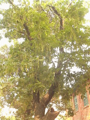 未命名_meitu_5.jpg