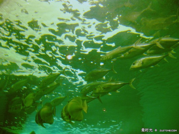 IMG_8098_副本.jpg