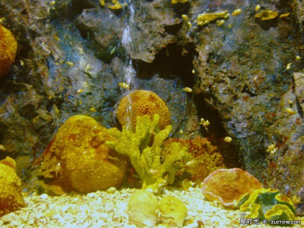 IMG_8085_副本.jpg