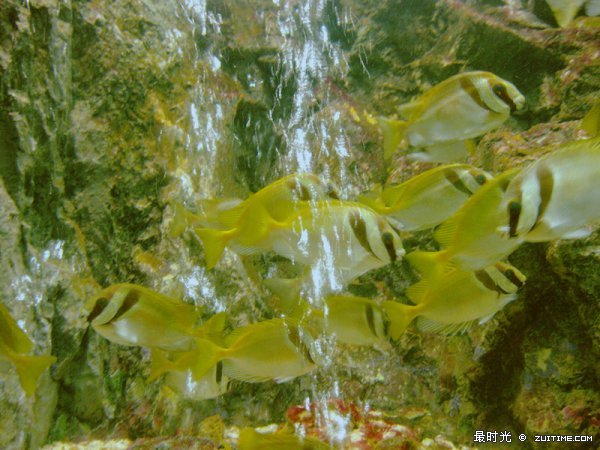 IMG_8107_副本.jpg