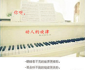 qing_副本_副本1.jpg