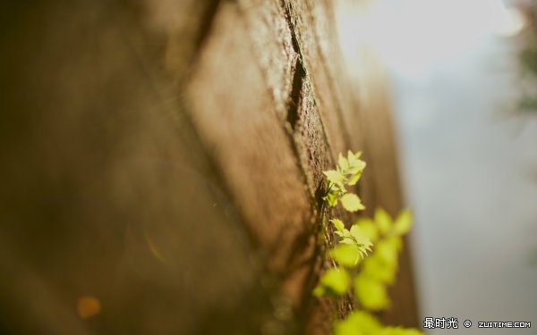2010111821245451.jpg