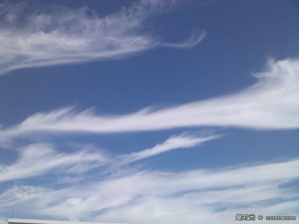 IMG_20120902_114536.jpg