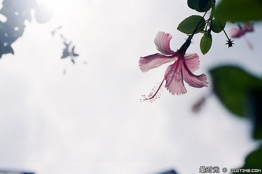 11477547060fd4d91dl.jpg