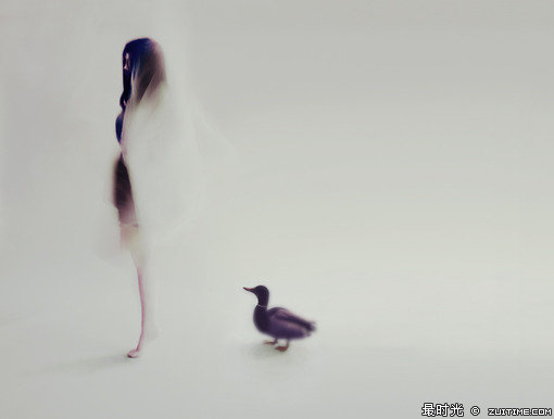 50d05d6c4f3b9.jpg