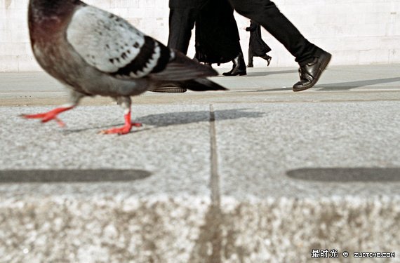 MattStuart_TrafalgarSquare.jpg